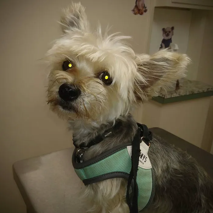 Pomona Animal Hospital 3