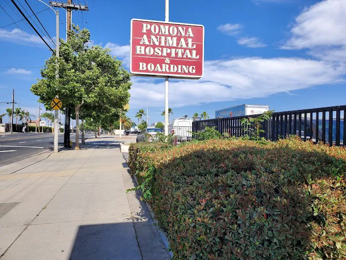 Pomona Animal Hospital 5