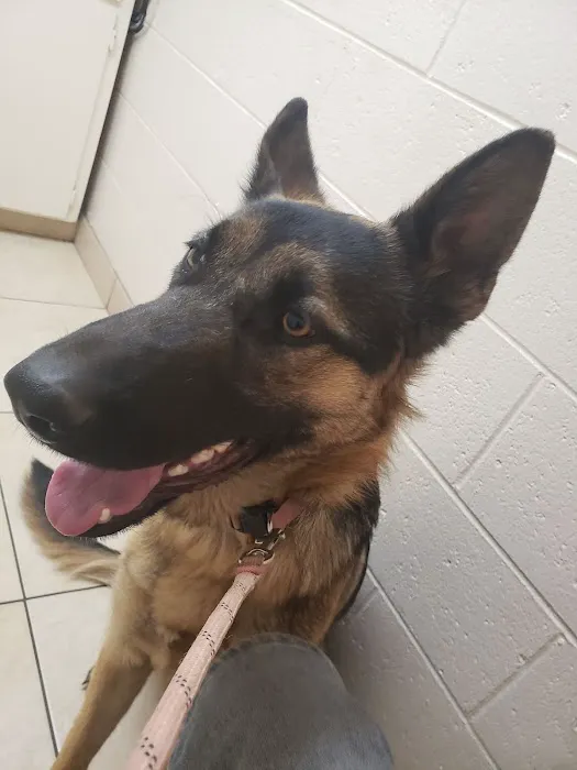 Pomona Animal Hospital 1
