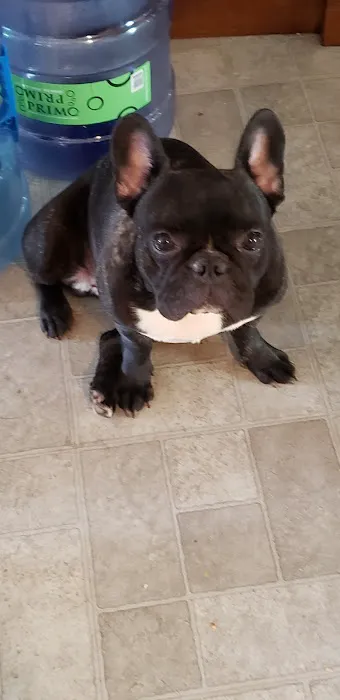 Pomona Animal Hospital 10