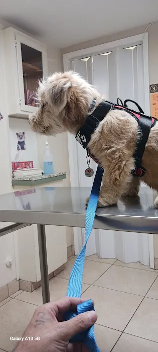 Pomona Animal Hospital 4