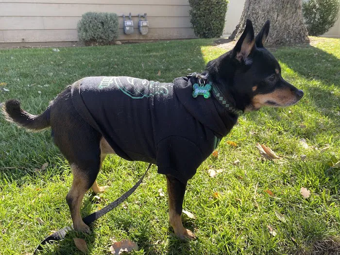 Pomona Animal Hospital 9