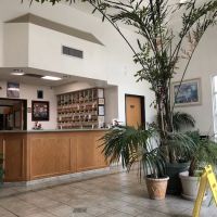 Arrow Animal Hospital ico