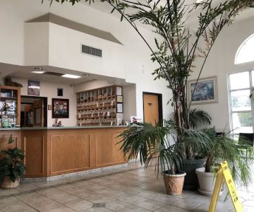 Arrow Animal Hospital