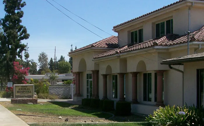 Arrow Animal Hospital 6