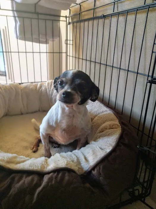 La Verne Animal Hospital 7