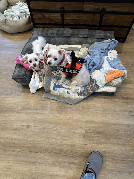 La Verne Animal Hospital 2