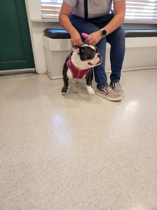La Verne Animal Hospital 4