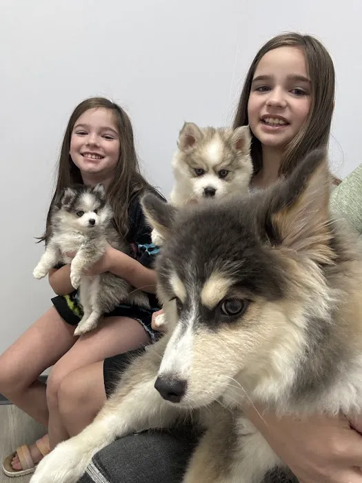 PetVets Animal Hospital 7