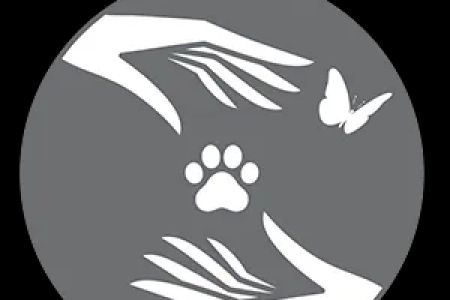 Silver Paws Pet Hospice
