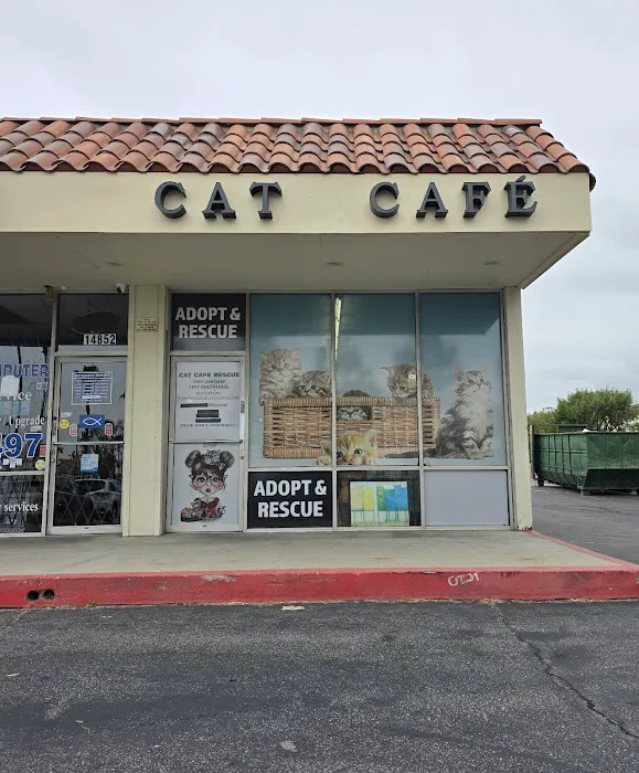Cat Cafe Rescue 8