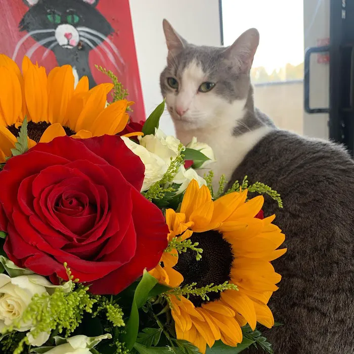 Cat Cafe Rescue 9