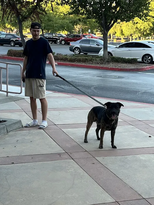 Banfield Pet Hospital 12