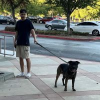Banfield Pet Hospital ico