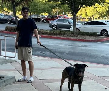 Banfield Pet Hospital