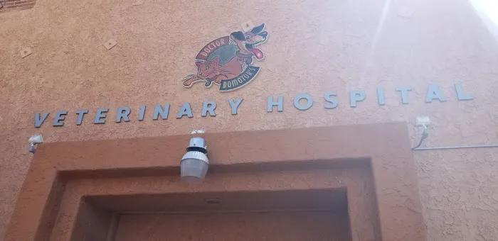 Dr. Domotor's Animal House 9