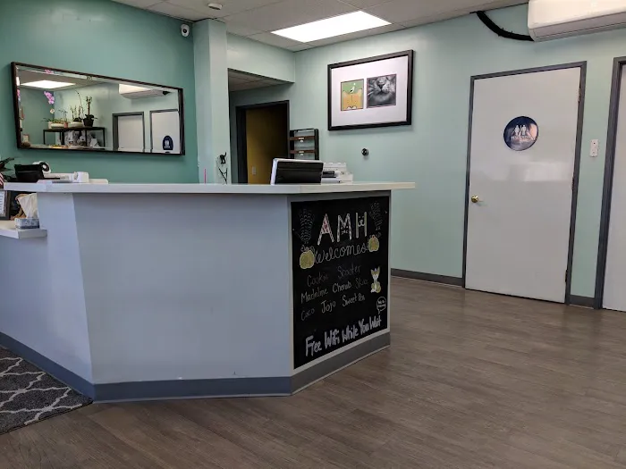 Animal Medical Hospital 12