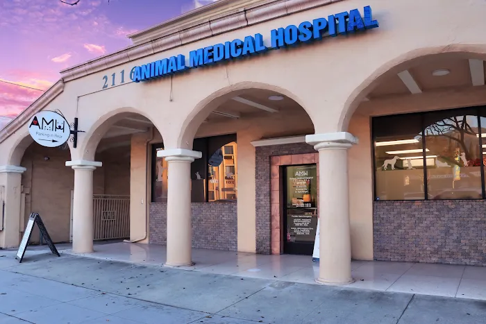 Animal Medical Hospital 12