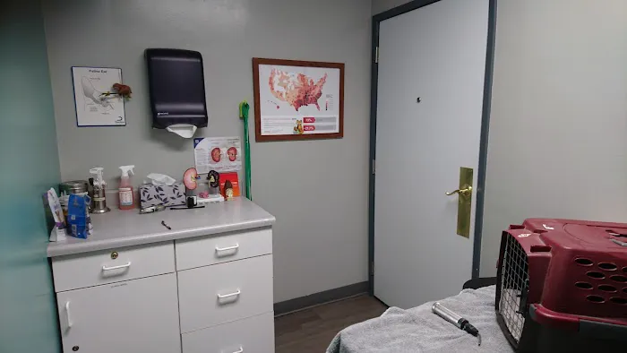 Animal Medical Hospital 12