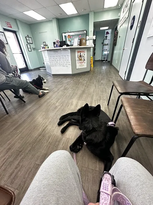 Animal Medical Hospital 12