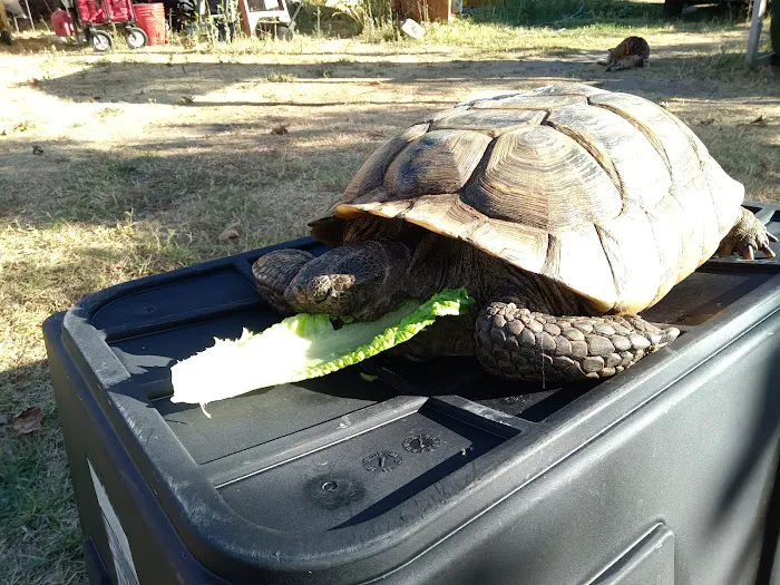 Exotic Animal Veterinary Center 12