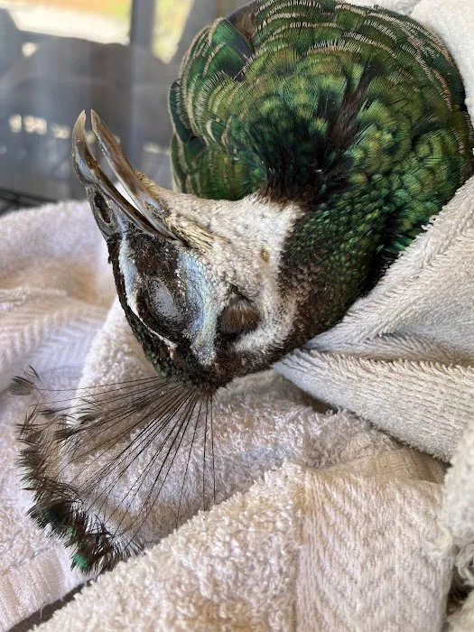 Exotic Animal Veterinary Center 12