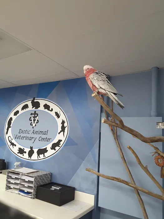 Exotic Animal Veterinary Center 12