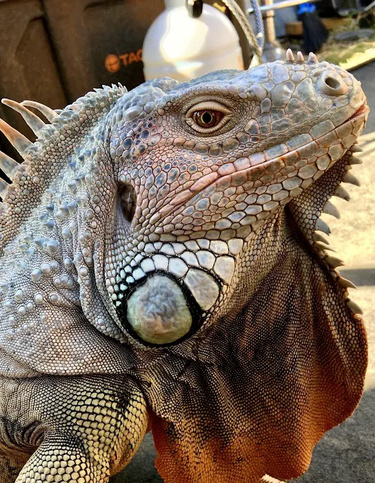 Exotic Animal Veterinary Center 12