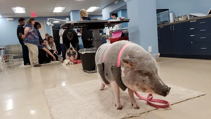 Exotic Animal Veterinary Center 12