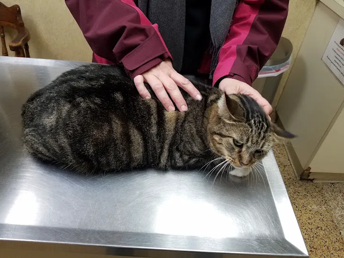 VCA Foothill Veterinary Hospital 12