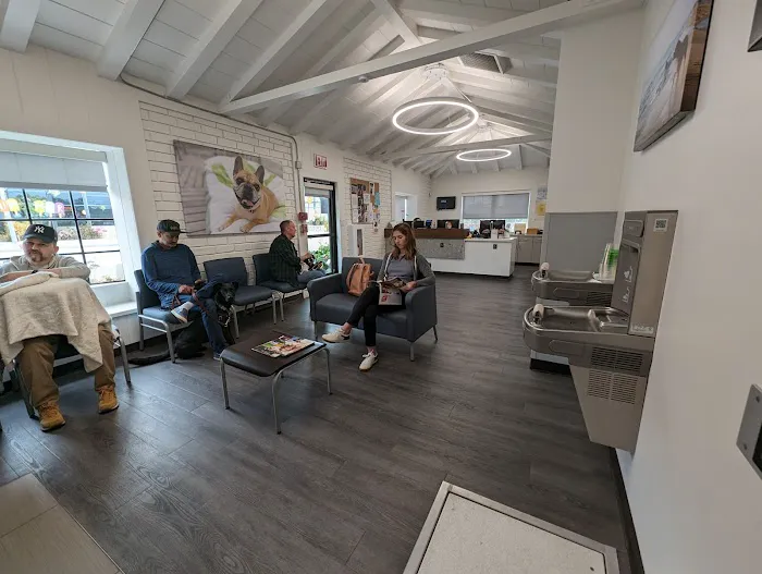 VCA Foothill Veterinary Hospital 12