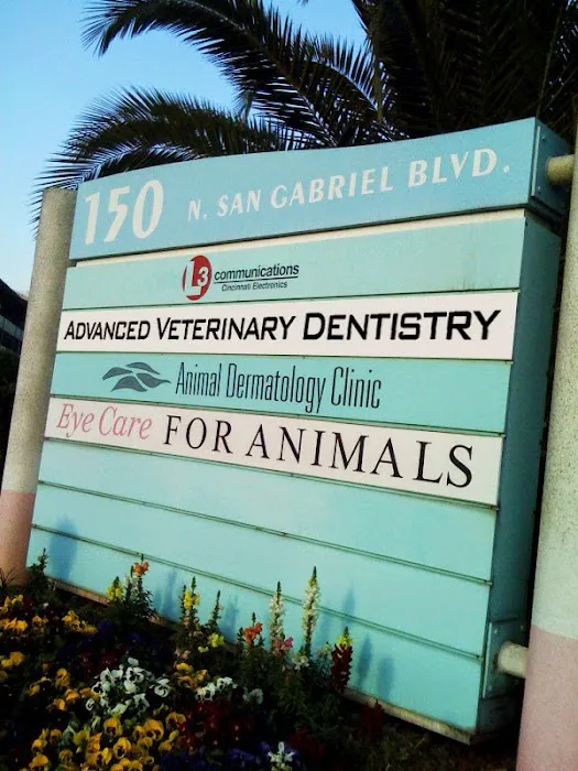 Advanced Veterinary Dentistry 12