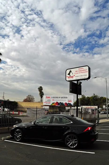 Animal-AM Emergency Clinic of Pasadena 12