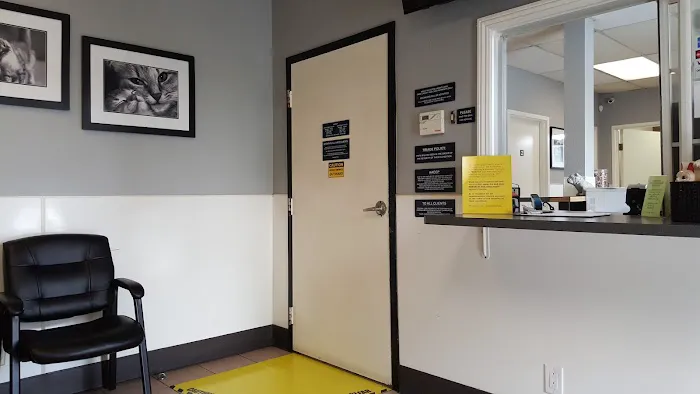 Animal-AM Emergency Clinic of Pasadena 12