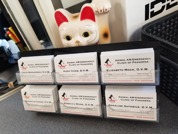 Animal-AM Emergency Clinic of Pasadena 12