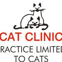 Cat Clinic Inc ico
