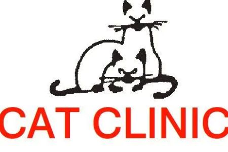 Cat Clinic Inc