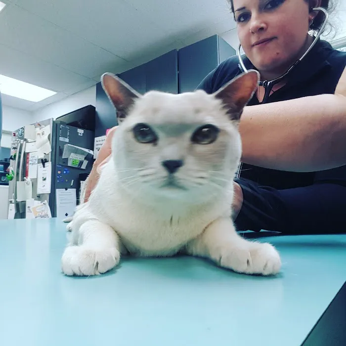Rose City Veterinary Hospital 12