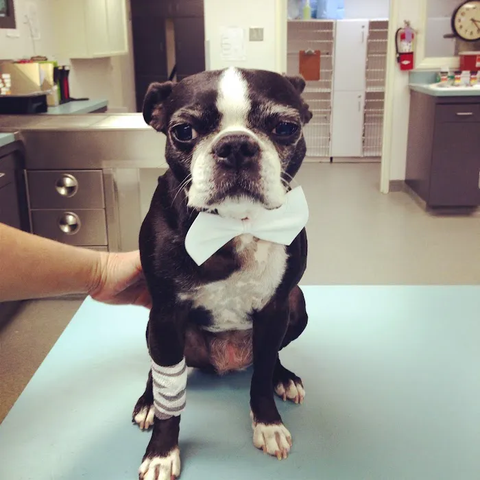 Rose City Veterinary Hospital 12