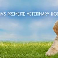 Rose City Veterinary Hospital ico