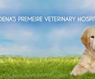 Rose City Veterinary Hospital