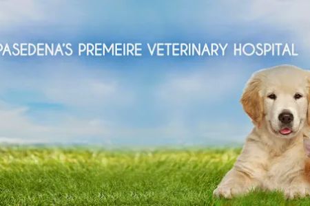 Rose City Veterinary Hospital