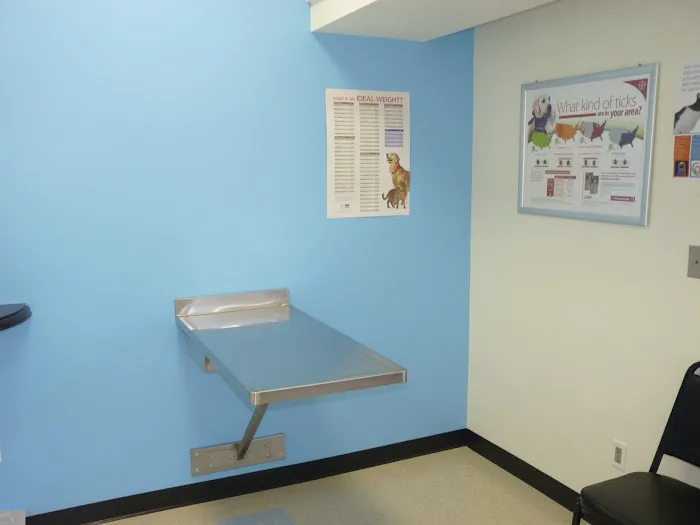 Pasadena Pets Veterinary Hospital 12