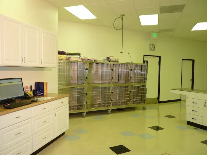 Pasadena Pets Veterinary Hospital 12