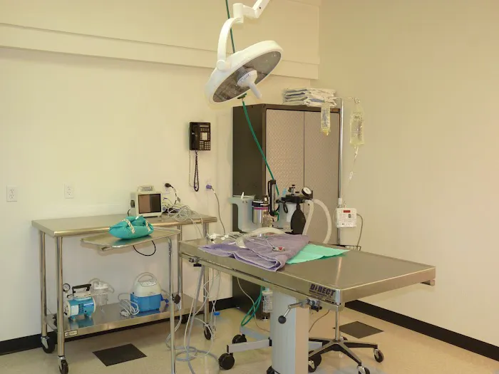 Pasadena Pets Veterinary Hospital 12