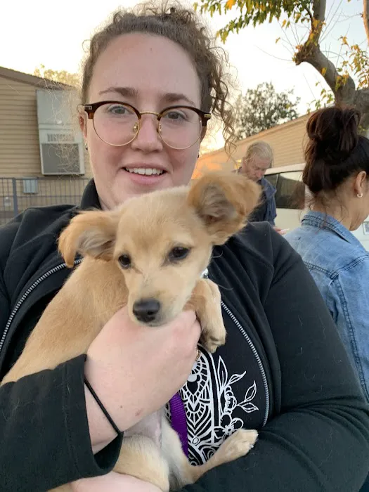 Low Cost Pet Vaccines Pasadena 1