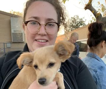 Low Cost Pet Vaccines Pasadena