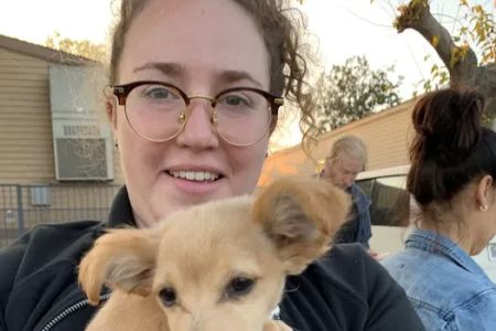 Low Cost Pet Vaccines Pasadena