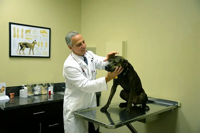 Sierra Madre Animal Hospital 5