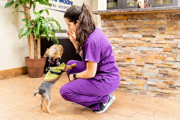 Sierra Madre Animal Hospital 8